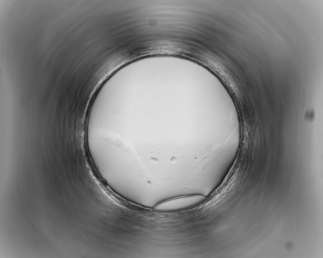 X0000099230802200805221835