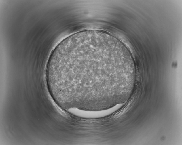 X0000099230803200805221835