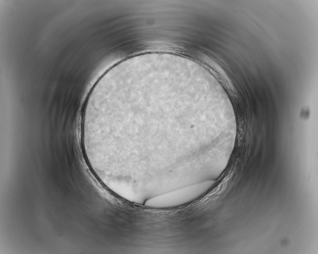 X0000099230804200805221835