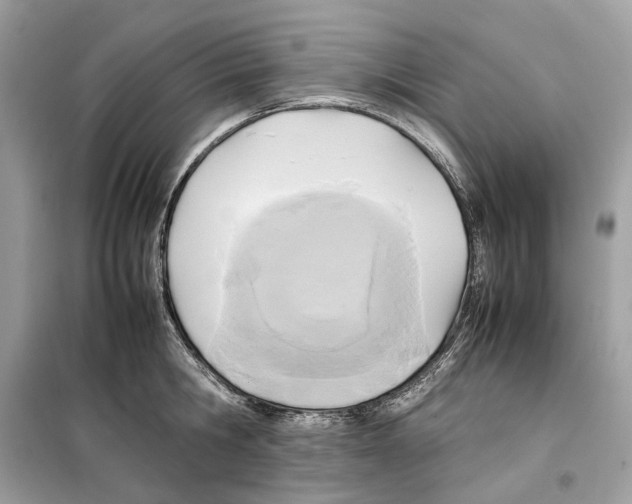 X0000099230806200805221835