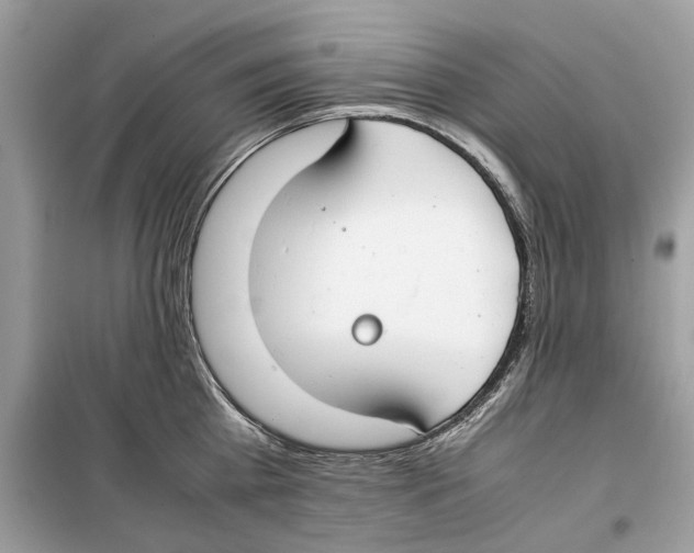 X0000099230809200805221835