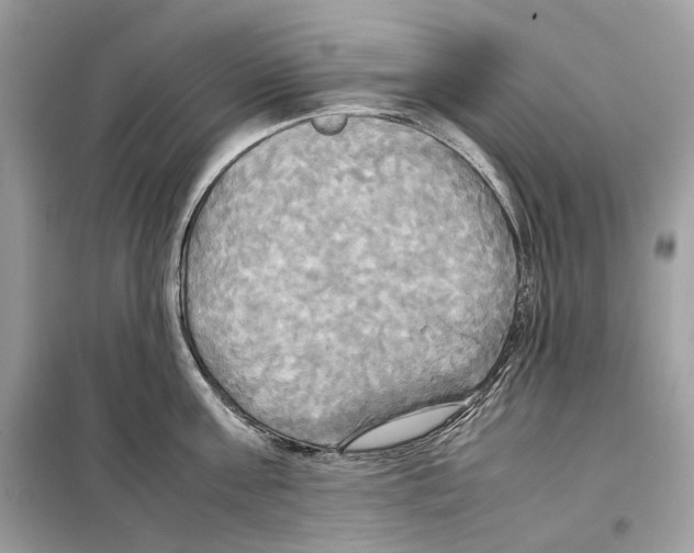 X0000099230811200805221835