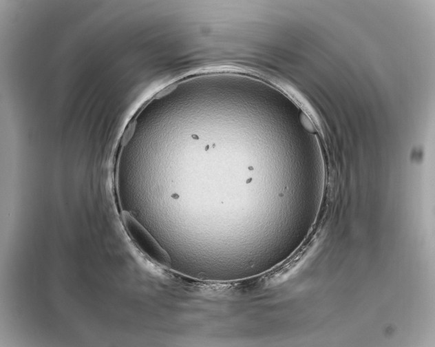 X0000099230813200805221835