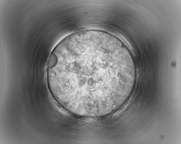 X0000099230814200805221835