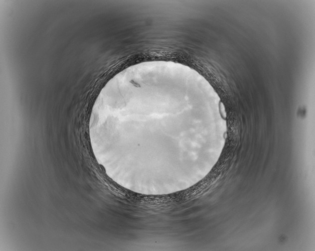 X0000099230817200805221834