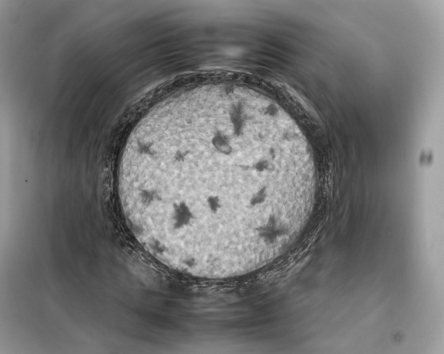 X0000099230821200805221834