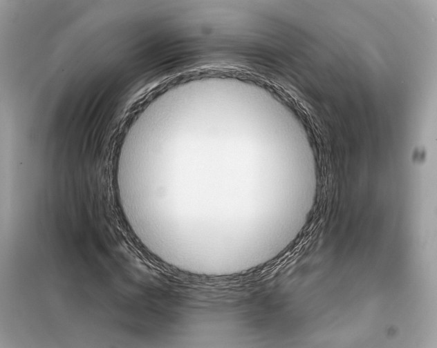 X0000099230824200805221834