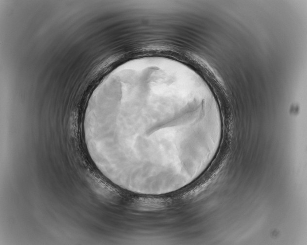 X0000099230825200805221834