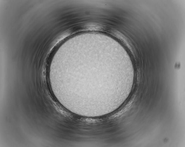 X0000099230827200805221834