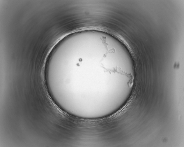 X0000099230828200805221834