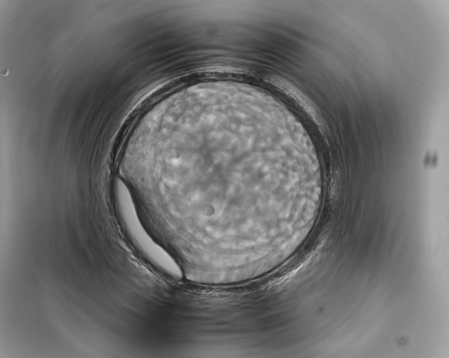 X0000099230829200805221834