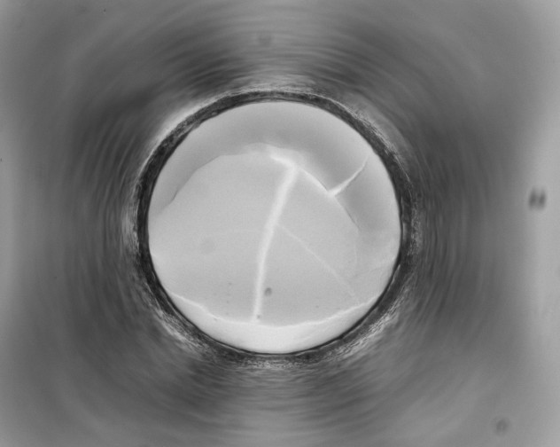 X0000099230830200805221834