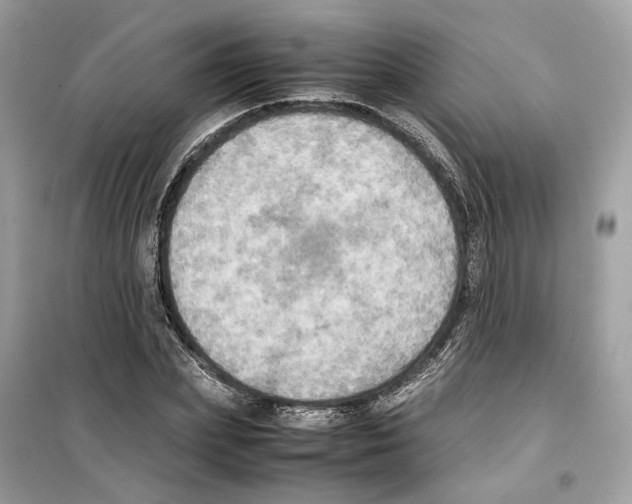 X0000099230831200805221834