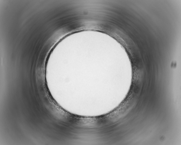 X0000099230836200805221834