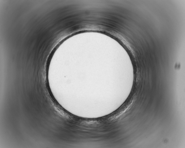 X0000099230837200805221834