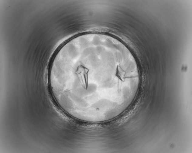 X0000099230838200805221834