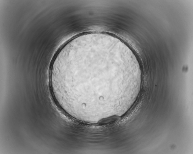 X0000099230839200805221834