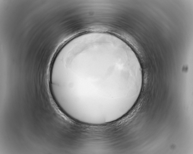 X0000099230840200805221834