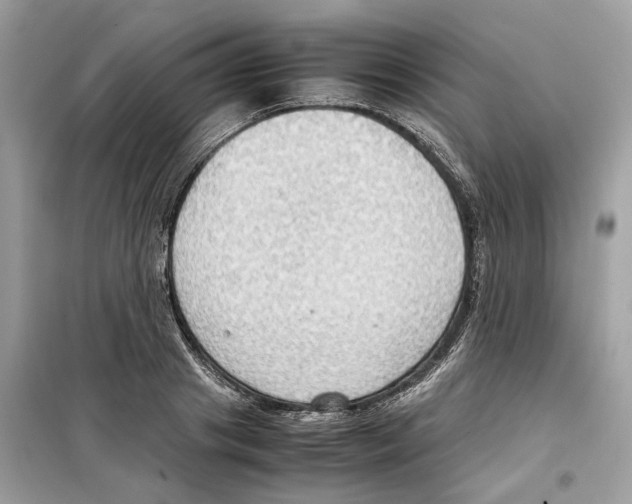 X0000099230841200805221834