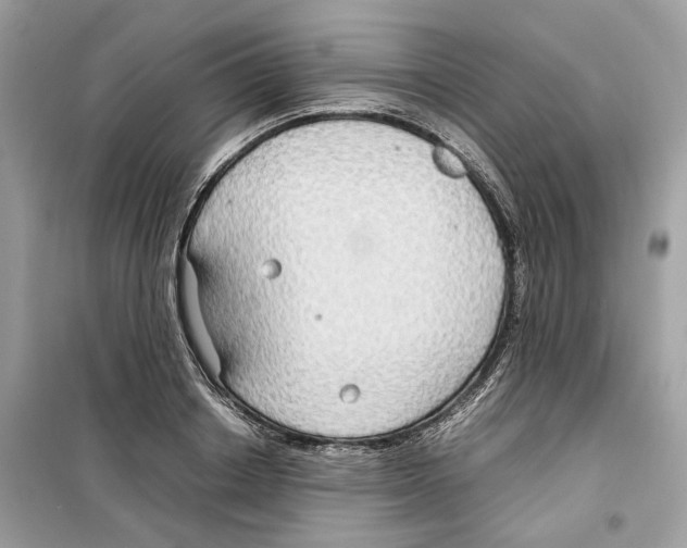 X0000099230842200805221834