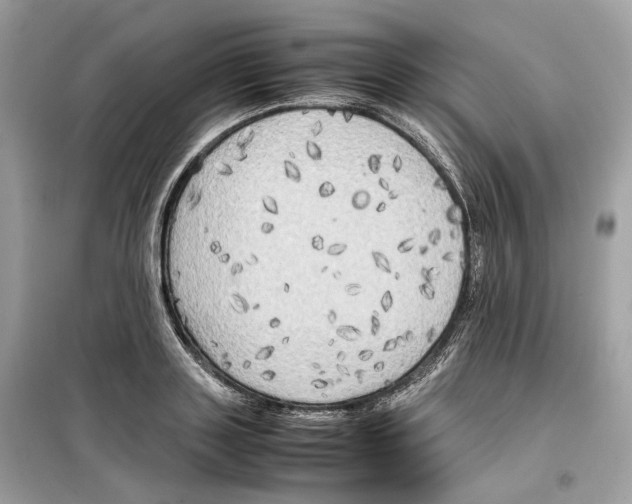 X0000099230843200805221834