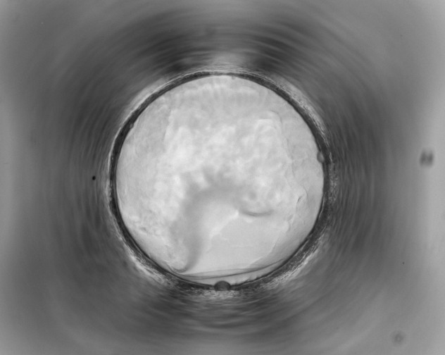 X0000099230845200805221834