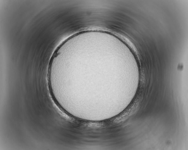 X0000099230847200805221834