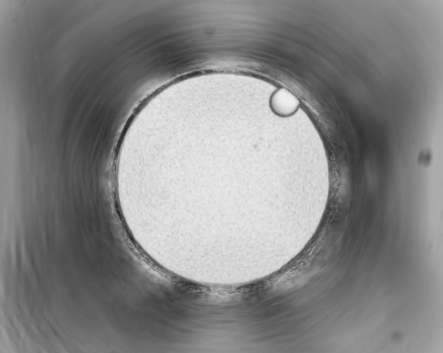 X0000099230848200805221834