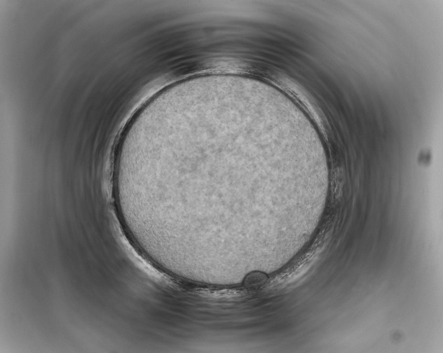 X0000099230851200805221834