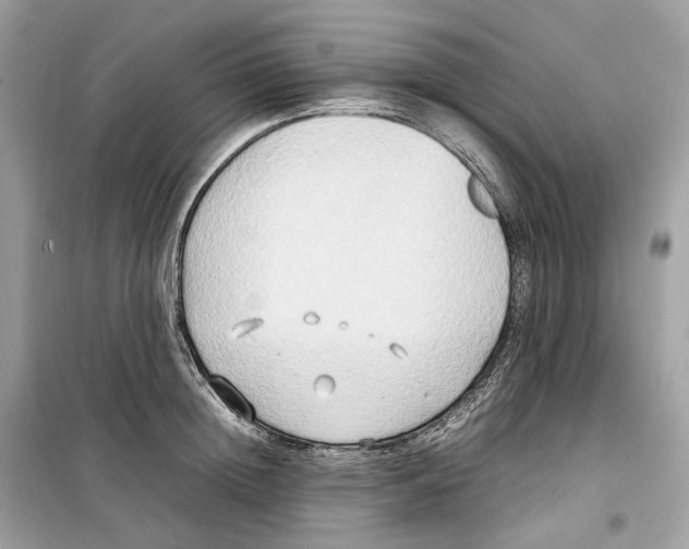 X0000099230852200805221835