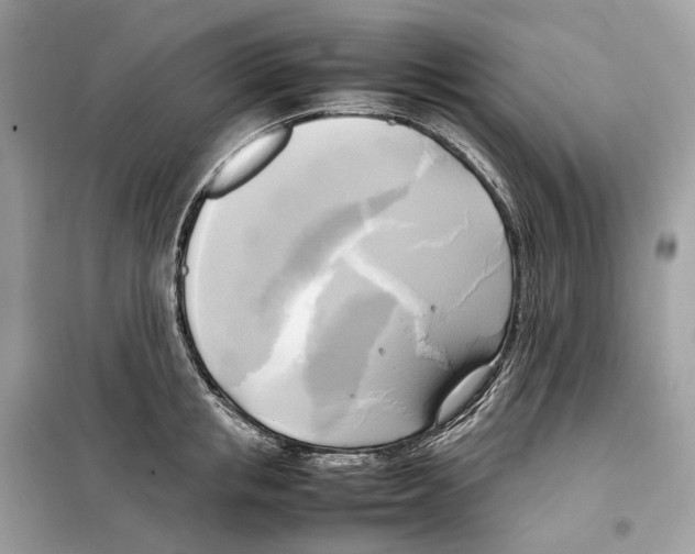 X0000099230853200805221835