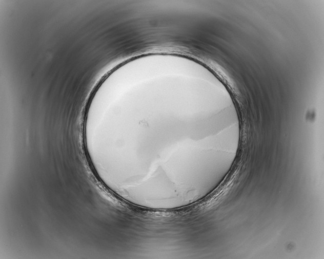 X0000099230854200805221835