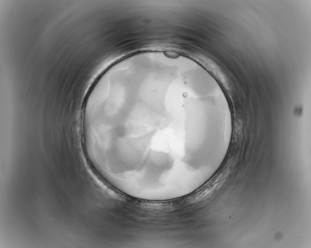 X0000099230855200805221835