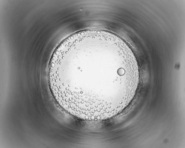 X0000099230856200805221835