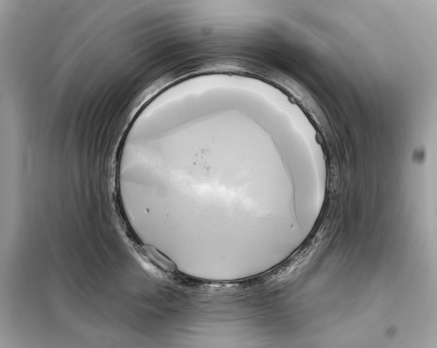 X0000099230858200805221835