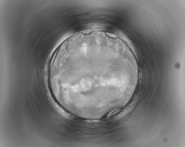 X0000099230859200805221835