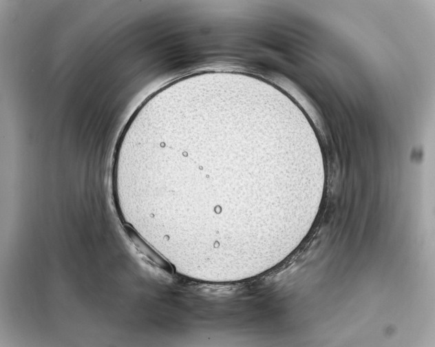 X0000099230861200805221835