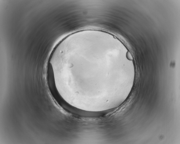 X0000099230862200805221835