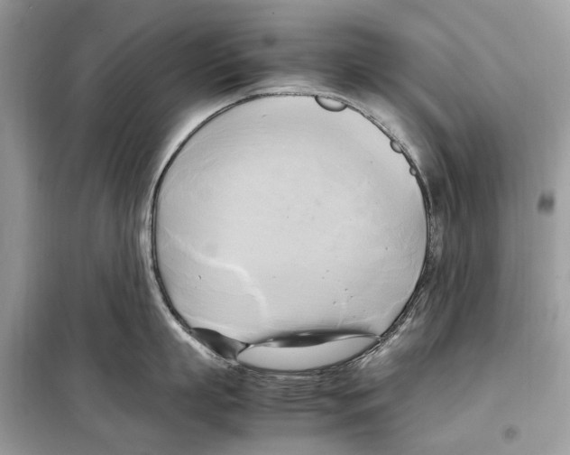 X0000099230863200805221835