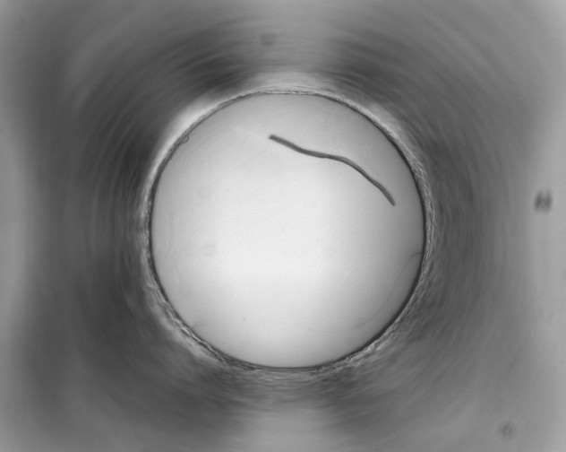 X0000099230864200805221835