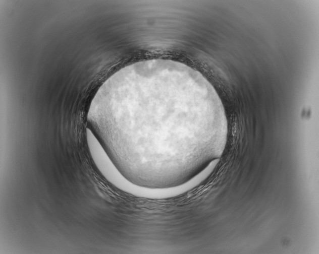 X0000099230868200805221834