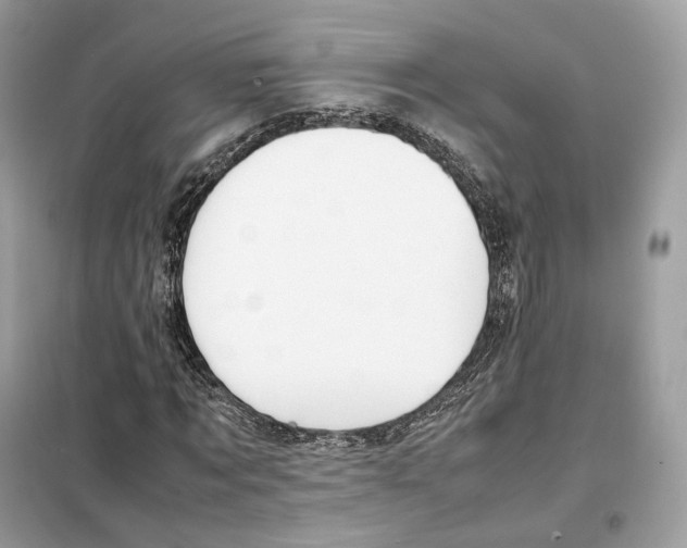 X0000099230869200805221834