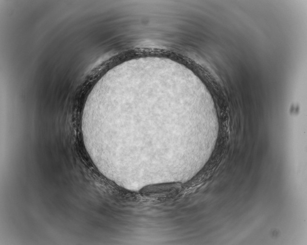 X0000099230870200805221834