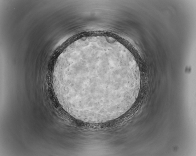 X0000099230871200805221834