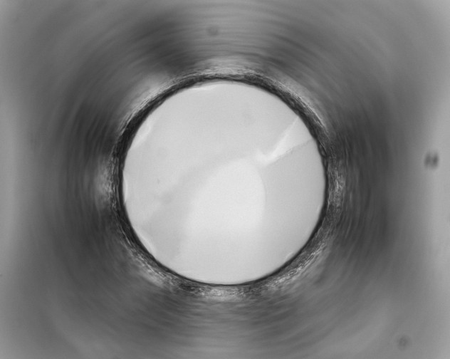 X0000099230874200805221834