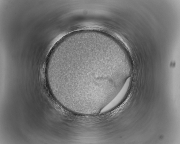 X0000099230875200805221834