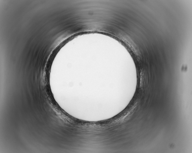 X0000099230876200805221834