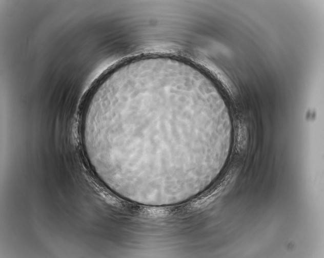 X0000099230878200805221834