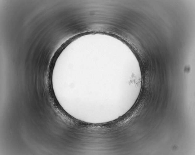 X0000099230880200805221834