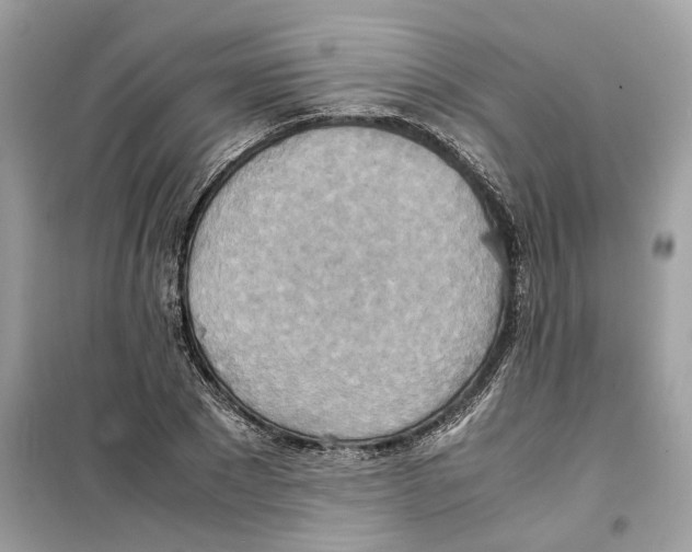 X0000099230881200805221834